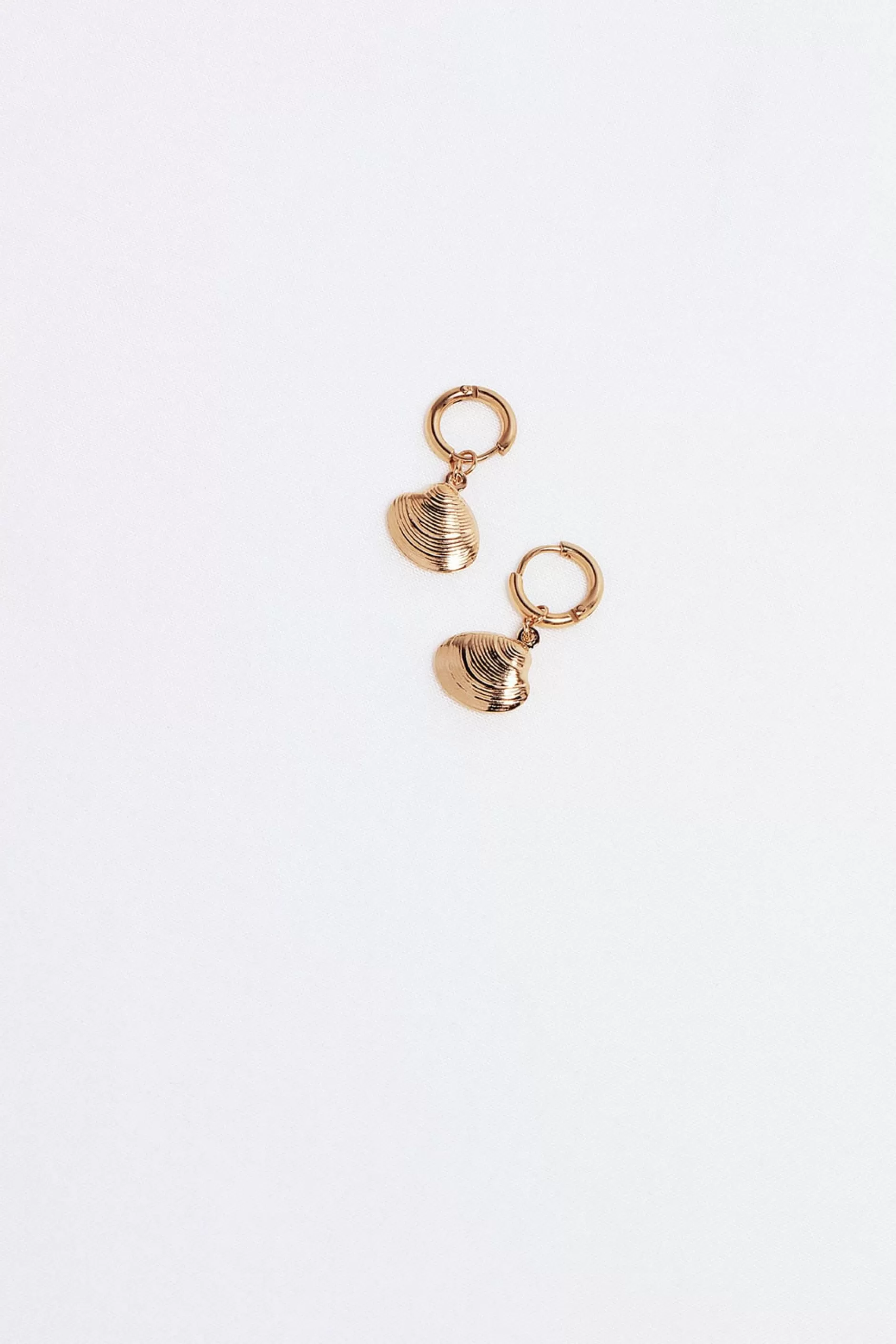 Beach Shell Earrings | Chiquelle New